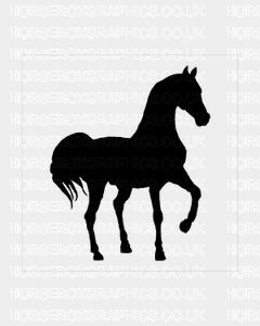 Horse Box Graphic - Horse Silhouette 15