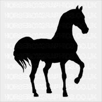 Horse Box Graphic - Horse Silhouette 15