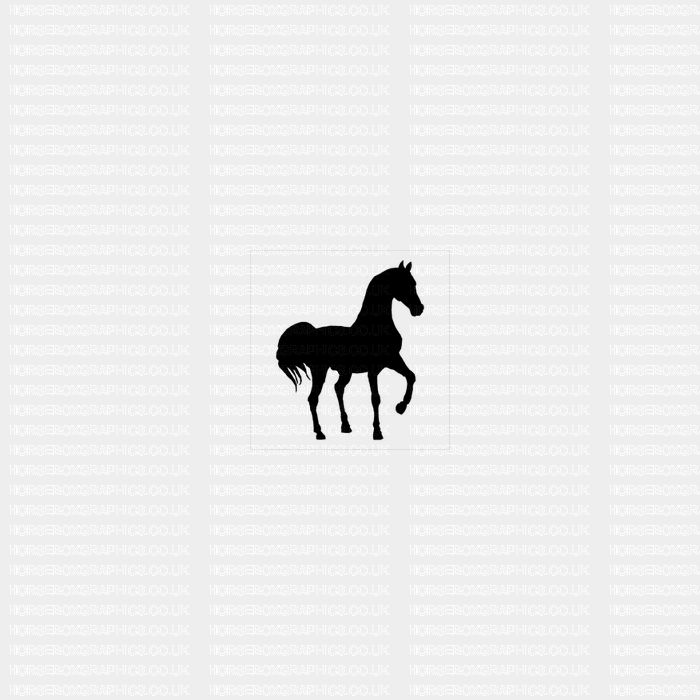 Horse Box Graphic - Horse Silhouette 15