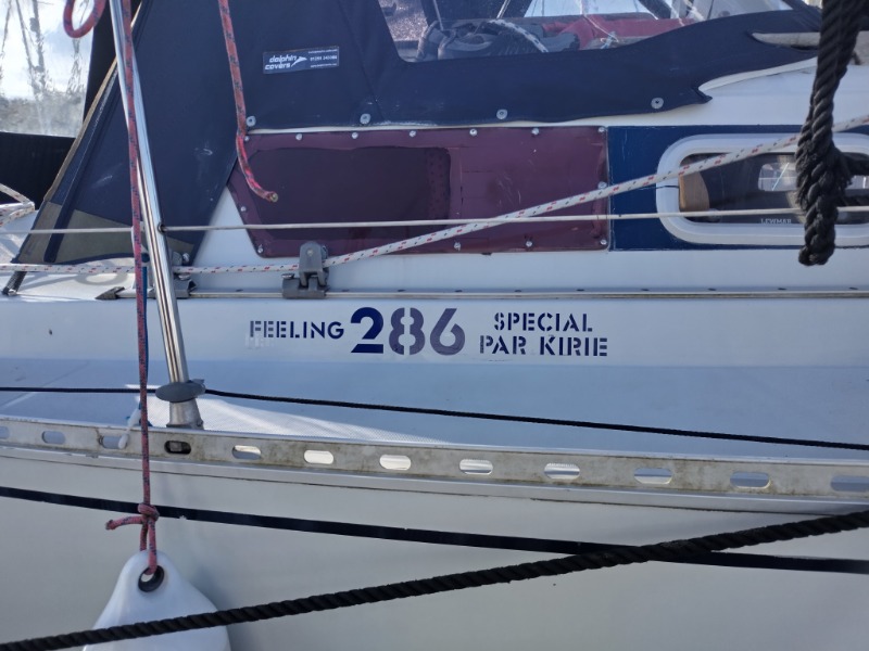 Sunfish marine boat graphics example